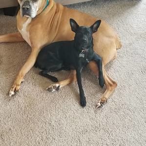 Meet your Posher, Kelly